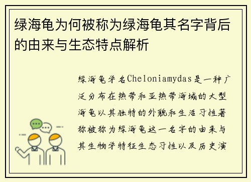 绿海龟为何被称为绿海龟其名字背后的由来与生态特点解析
